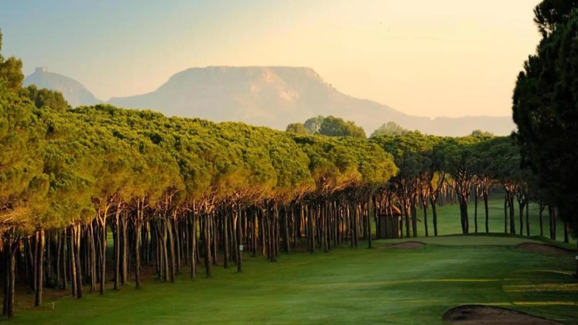 Piverd Del Golf 41 Pals